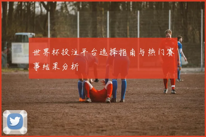 世界杯投注平台选择指南与热门赛事结果分析