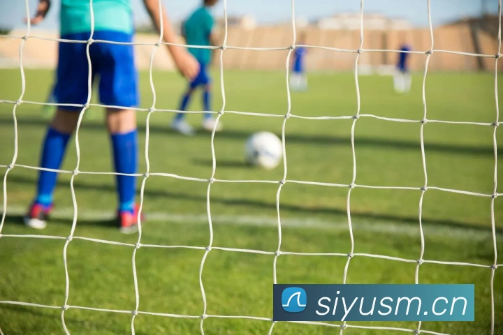 爱体育官网app下载平台生态图